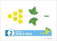 MATEMÁTICAS PASO A PASO 2 (NIVEL 1)